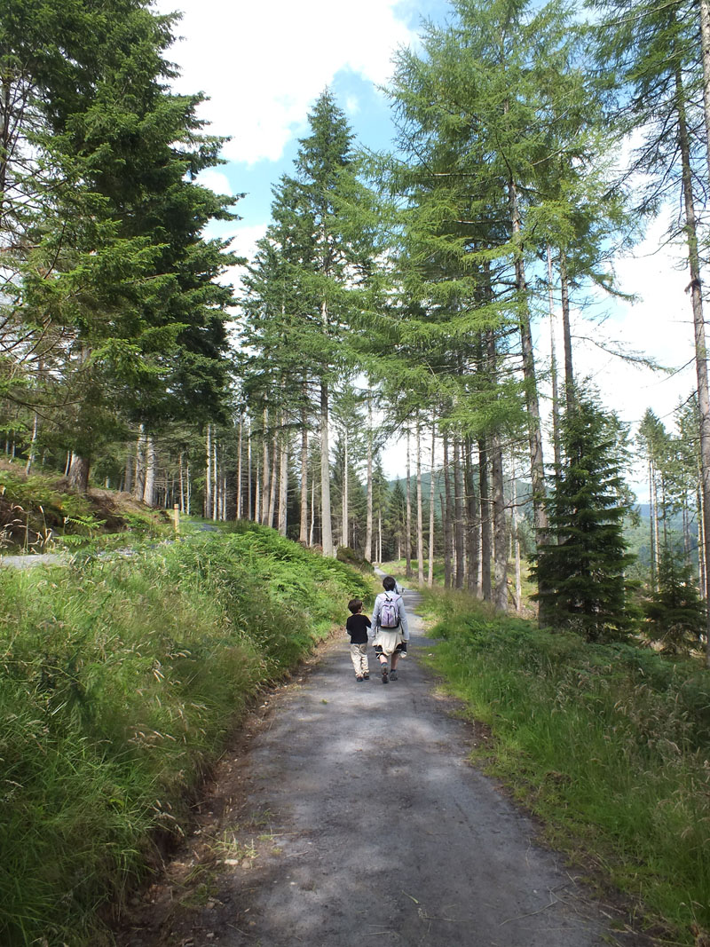 Dunkeld Walks