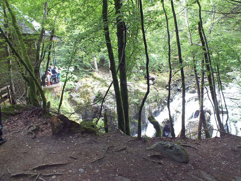 Dunkeld Walks