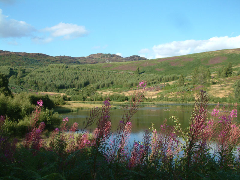 Dunkeld Walks