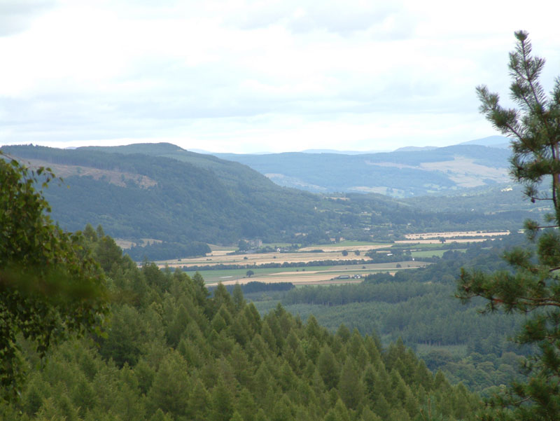 Kenmore Walks