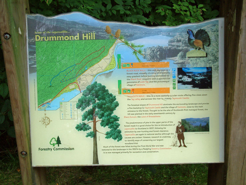 Kenmore Walks
