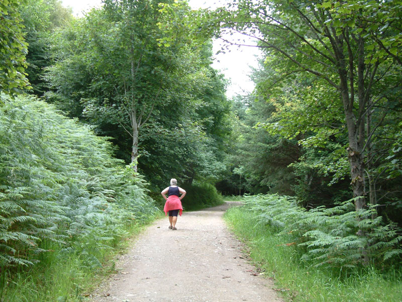 Kenmore Walks