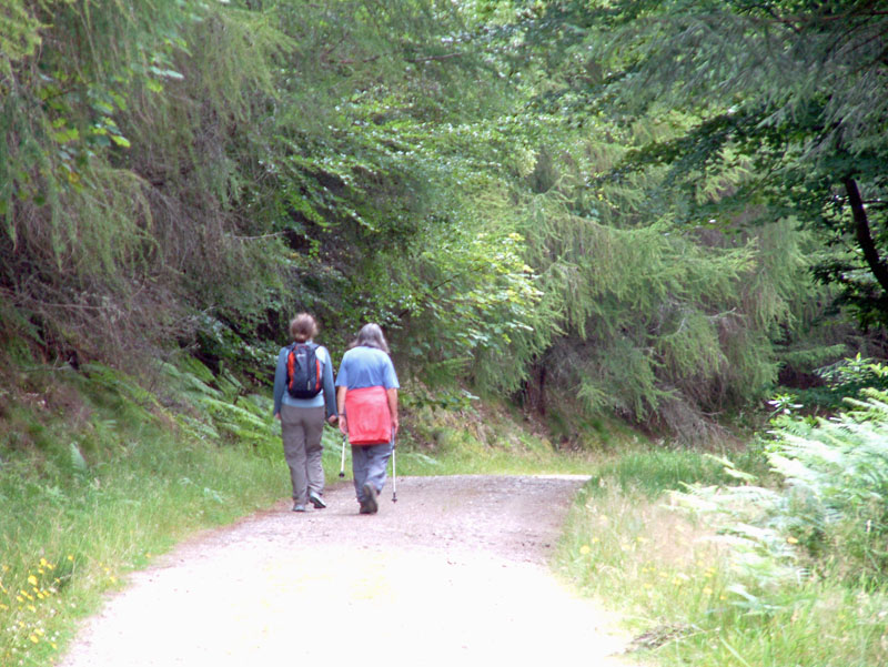 Kenmore Walks